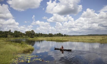 Unveiling Guyana’s Best-Kept Secrets: Hidden Spots Every Traveler Must Experience