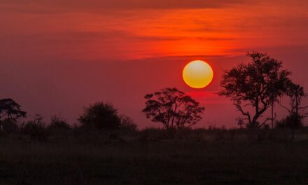 Why Botswana Deserves a Top Spot on Your Travel Bucket List