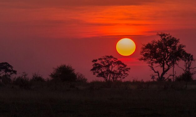 Why Botswana Deserves a Top Spot on Your Travel Bucket List
