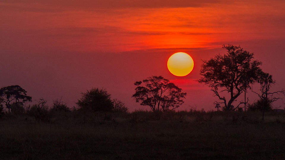 Why Botswana Deserves a Top Spot on Your Travel Bucket List