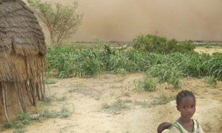 Why Niger Should Be Your Next Travel Destination: Hidden Treasures Await
