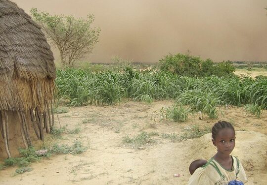 Why Niger Should Be Your Next Travel Destination: Hidden Treasures Await