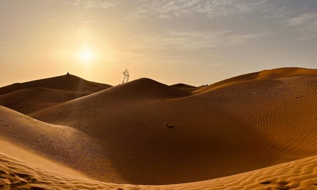 Why Oman Should Be on Your Travel Bucket List: Unique Attractions and Cultural Insights