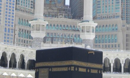 Your Guide to the Best of Saudi Arabia: Unique Experiences and Local Secrets