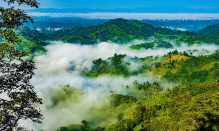 Bangladesh Off the Beaten Path: Hidden Spots You’ll Fall in Love With