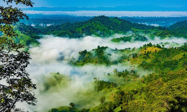 Bangladesh Off the Beaten Path: Hidden Spots You’ll Fall in Love With