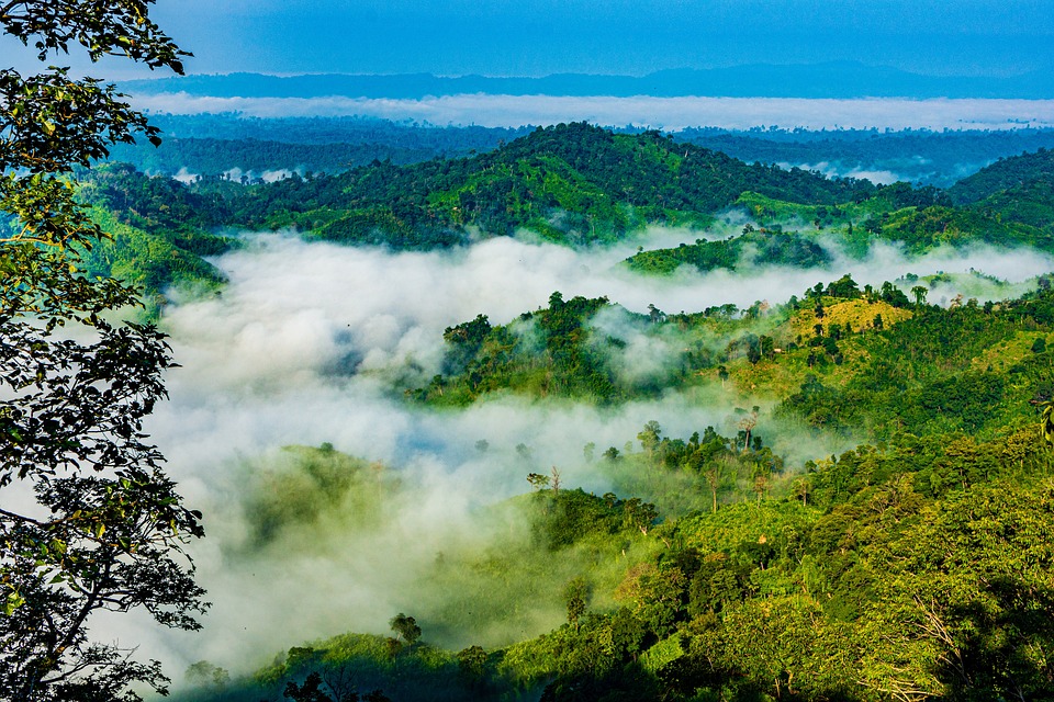 Bangladesh Off the Beaten Path: Hidden Spots You’ll Fall in Love With