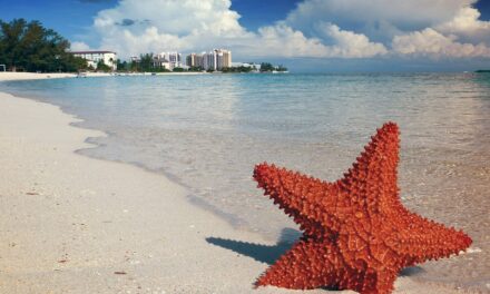 Discover Paradise: Top Things to Do in the Bahamas for an Unforgettable Escape