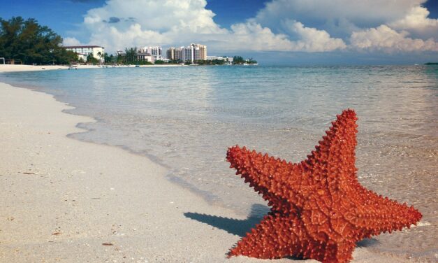 Discover Paradise: Top Things to Do in the Bahamas for an Unforgettable Escape
