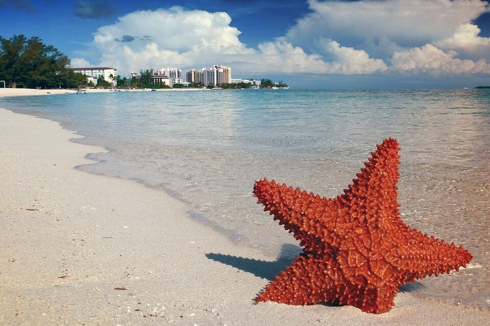Discover Paradise: Top Things to Do in the Bahamas for an Unforgettable Escape