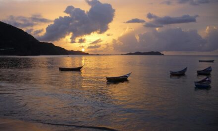 Epic Adventures in Venezuela: Hidden Gems and Expert Travel Insights