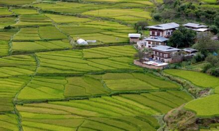 Explore the Land of the Thunder Dragon: Bhutan’s Natural and Cultural Treasures