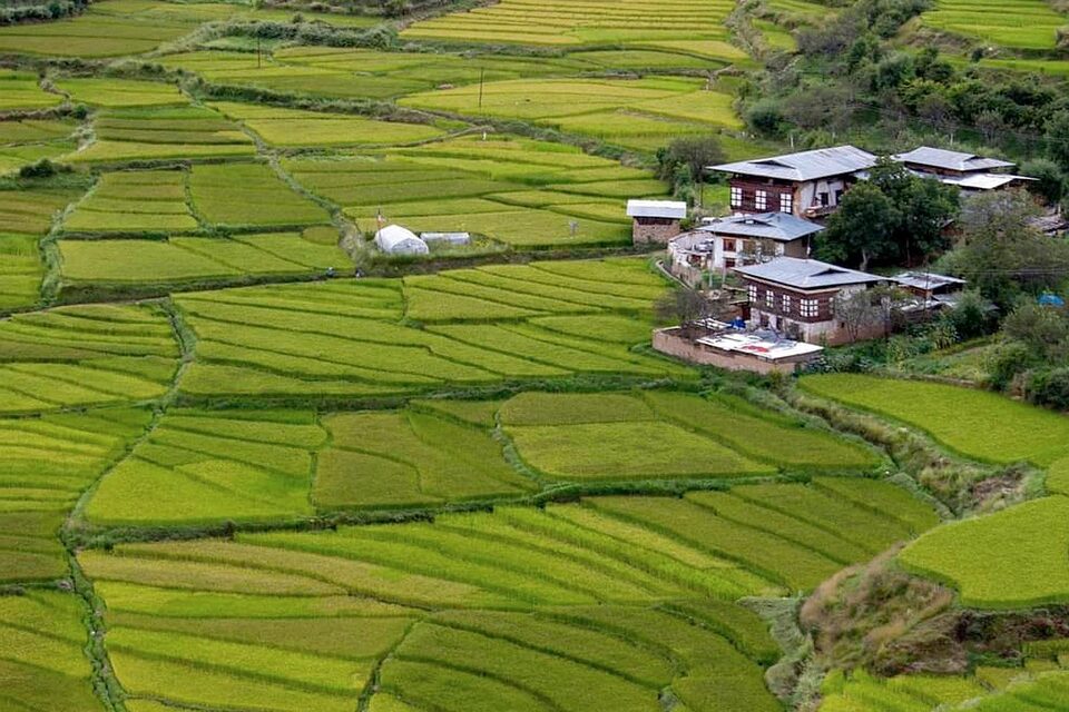 Explore the Land of the Thunder Dragon: Bhutan’s Natural and Cultural Treasures