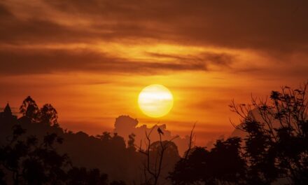 Exploring Uganda: Top Travel Tips for Discovering the Pearl of Africa