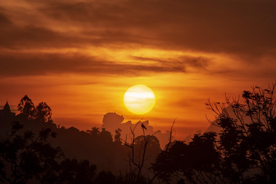 Exploring Uganda: Top Travel Tips for Discovering the Pearl of Africa