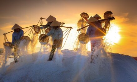 How to Explore Vietnam Like a Local: Insider Tips and Offbeat Experiences