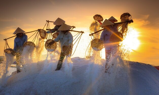 How to Explore Vietnam Like a Local: Insider Tips and Offbeat Experiences