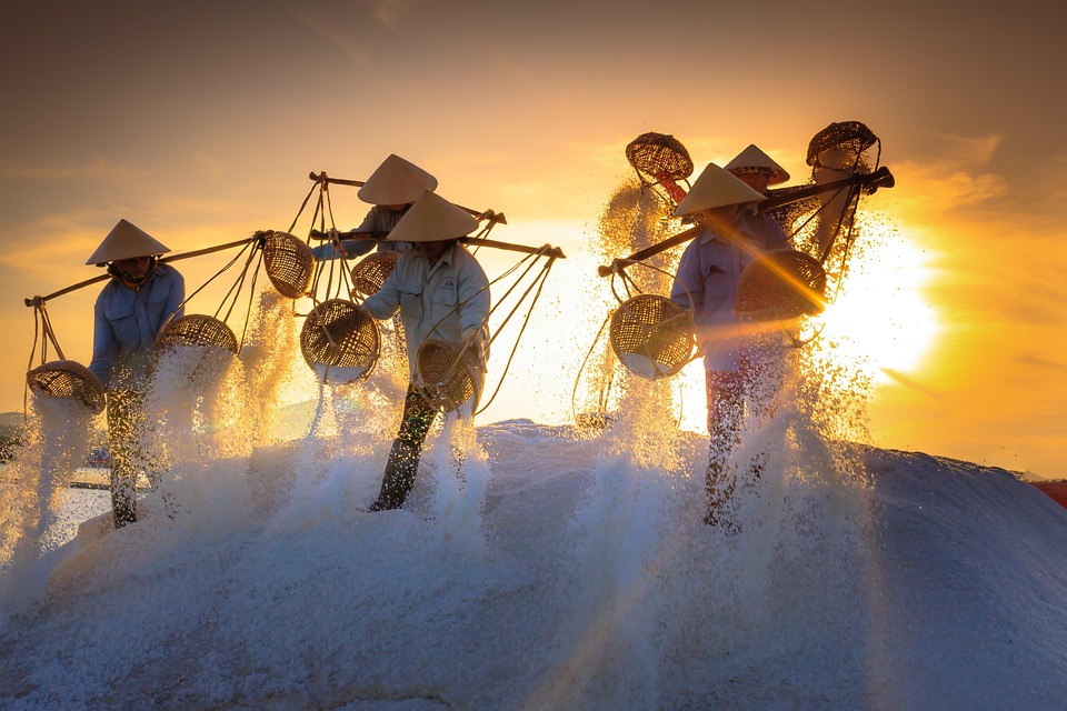 How to Explore Vietnam Like a Local: Insider Tips and Offbeat Experiences