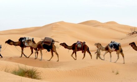 Magical Tunisia: Discover Ancient Ruins, Pristine Beaches, and Untouched Oases