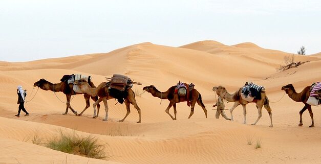 Magical Tunisia: Discover Ancient Ruins, Pristine Beaches, and Untouched Oases