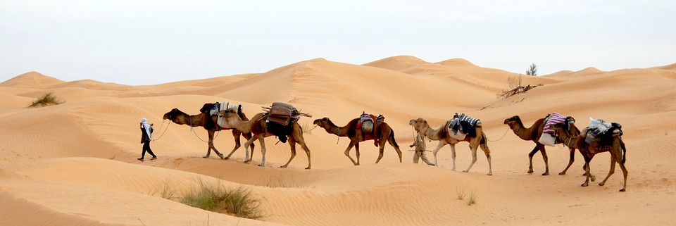 Magical Tunisia: Discover Ancient Ruins, Pristine Beaches, and Untouched Oases