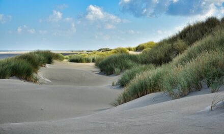 Netherlands Travel Insider: Underrated Spots and Local Tips for an Authentic Experience
