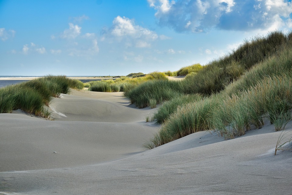Netherlands Travel Insider: Underrated Spots and Local Tips for an Authentic Experience