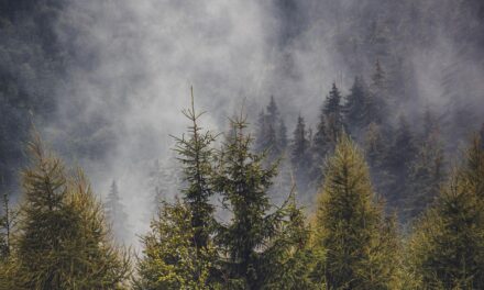 Romania’s Best-Kept Secrets: Hidden Destinations and Local Insights