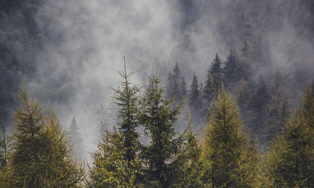 Romania’s Best-Kept Secrets: Hidden Destinations and Local Insights