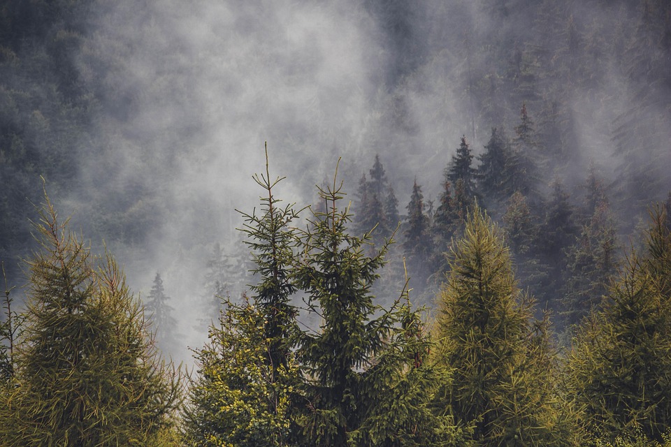 Romania’s Best-Kept Secrets: Hidden Destinations and Local Insights