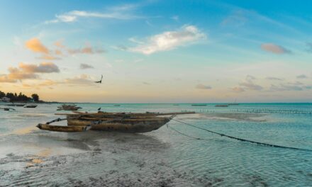 The Best Places to Visit in Tanzania: From Serengeti Plains to Zanzibar Beaches
