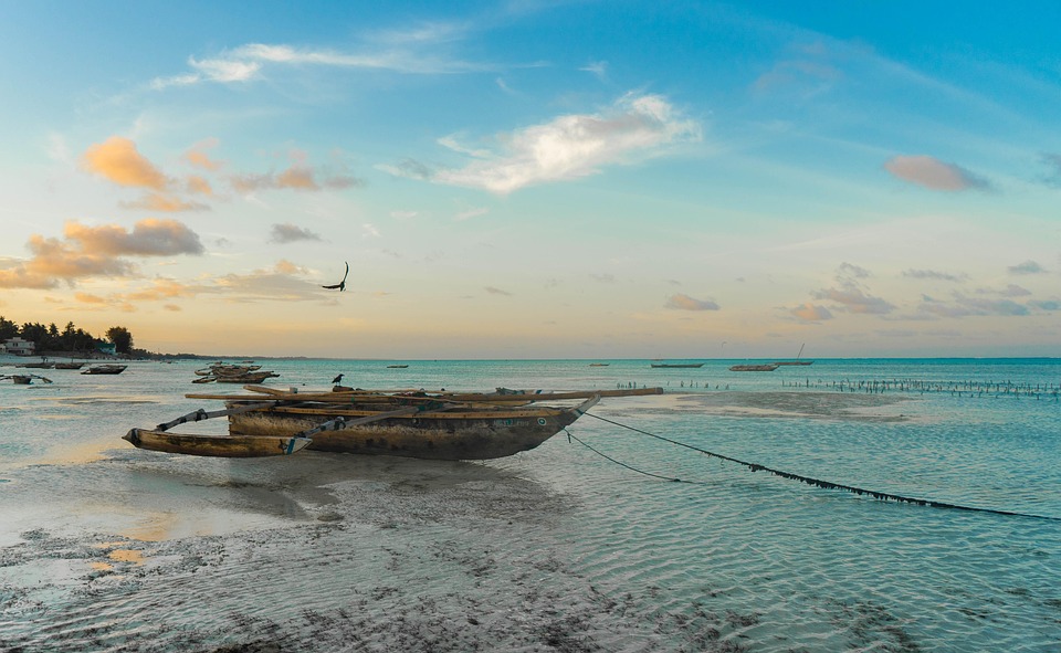The Best Places to Visit in Tanzania: From Serengeti Plains to Zanzibar Beaches