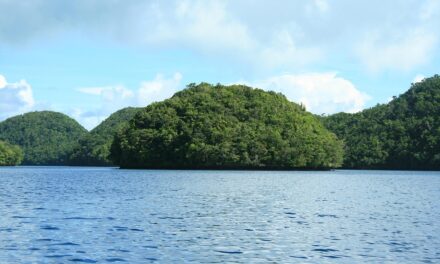 The Hidden Wonders of Palau: Unique Spots Only Locals Know About