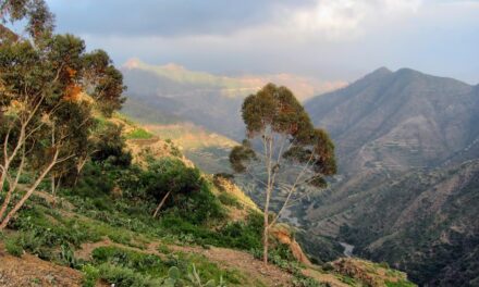 Traveling Eritrea: Exploring the Unspoiled Beauty of the Red Sea Coast