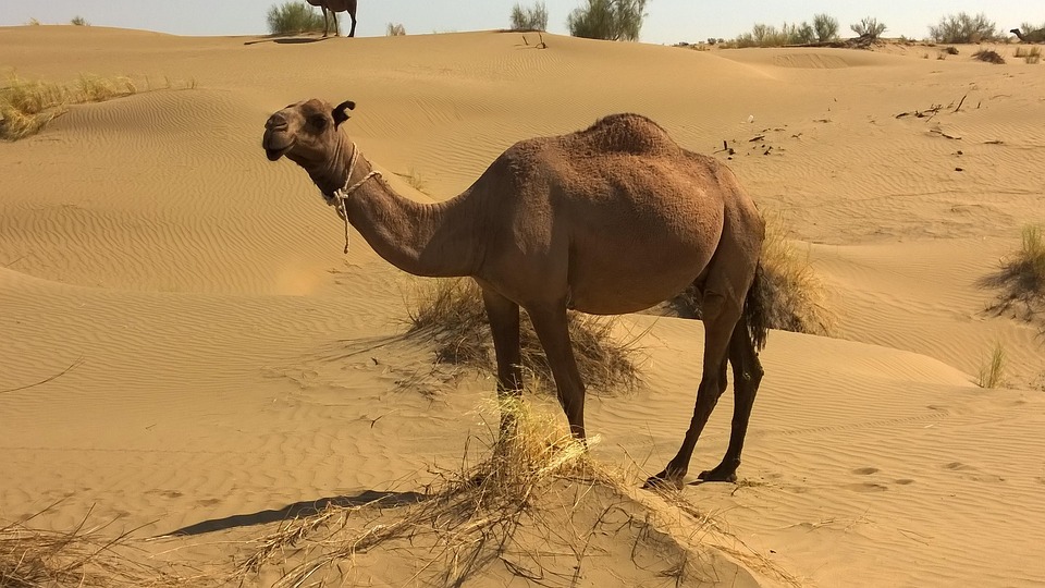 Turkmenistan Travel Secrets: Untold Stories and Must-See Spots