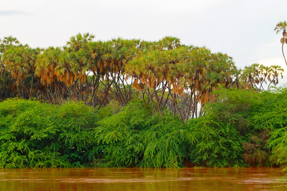 Ultimate Somalia Travel Itinerary: Top Destinations and Insider Tips for Your Adventure