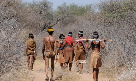 Unleashing Botswana’s Wonders: Explore Wildlife, Culture, and Natural Beauty