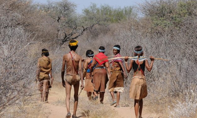Unleashing Botswana’s Wonders: Explore Wildlife, Culture, and Natural Beauty
