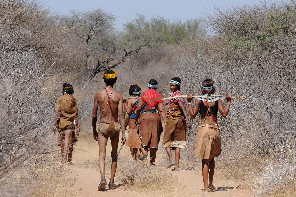 Unleashing Botswana’s Wonders: Explore Wildlife, Culture, and Natural Beauty