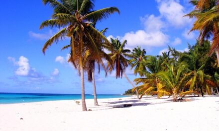 Why Dominica Should Be Your Next Travel Escape to Paradise
