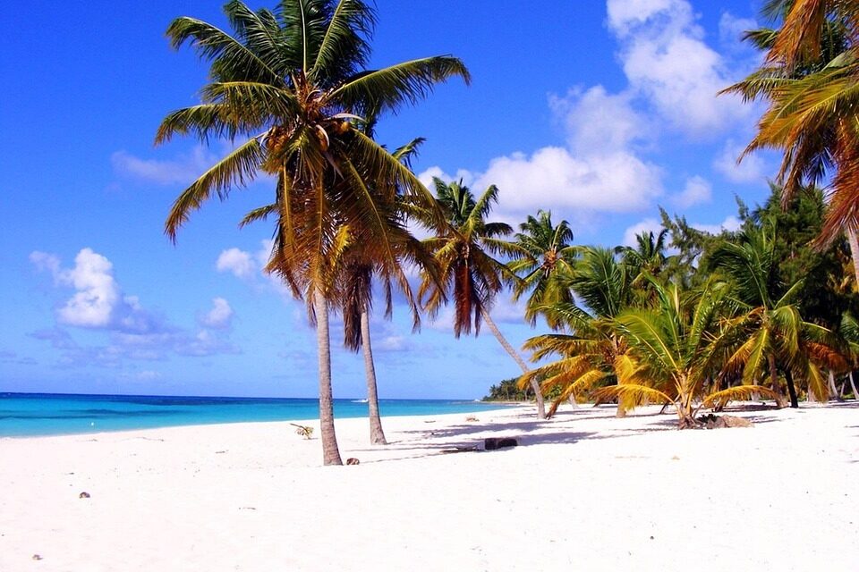 Why Dominica Should Be Your Next Travel Escape to Paradise