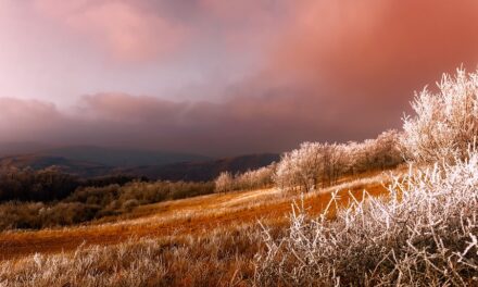 Why Serbia Is Europe’s Best-Kept Secret for Adventure Seekers