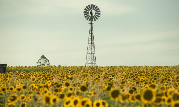 Australia Uncovered: Unique Destinations and Local Experiences Worth Exploring
