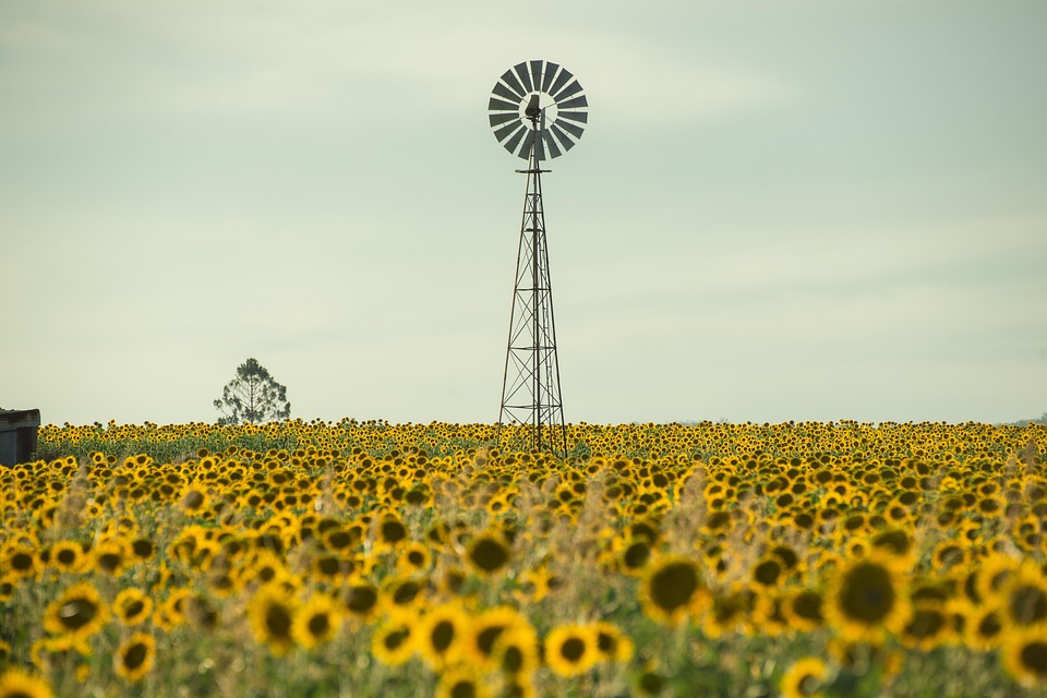 Australia Uncovered: Unique Destinations and Local Experiences Worth Exploring