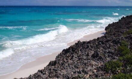 Bahamas Beyond the Beaches: Fascinating Facts and Unique Experiences Await