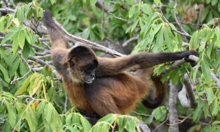 Beyond Granada and León: Exploring Nicaragua’s Lesser-Known Wonders