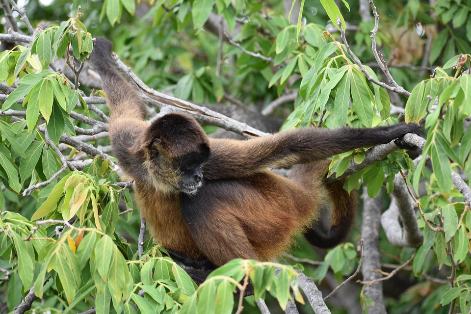 Beyond Granada and León: Exploring Nicaragua’s Lesser-Known Wonders