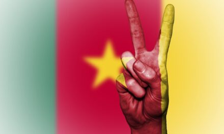 Exploring Cameroon: A Guide to Its Hidden Villages, Wildlife, and Natural Wonders