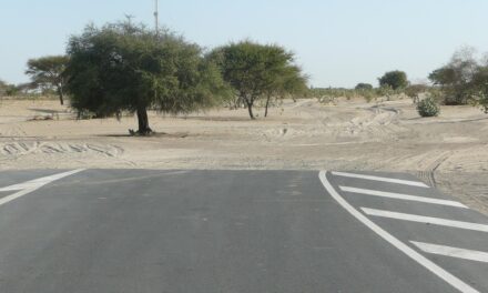 Exploring Lake Chad: The Heart of Africa’s Hidden Wonder