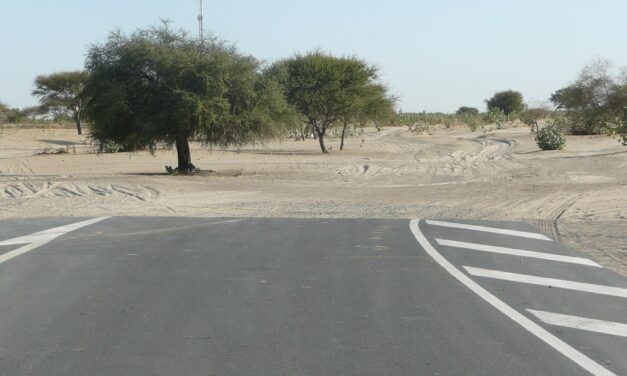 Exploring Lake Chad: The Heart of Africa’s Hidden Wonder